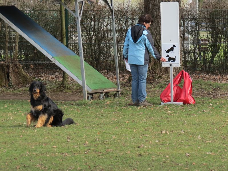 ssgh-hundeplatz-hundeschule-bockenheim-Obedience-Prüfung-05.03.2017 (21)