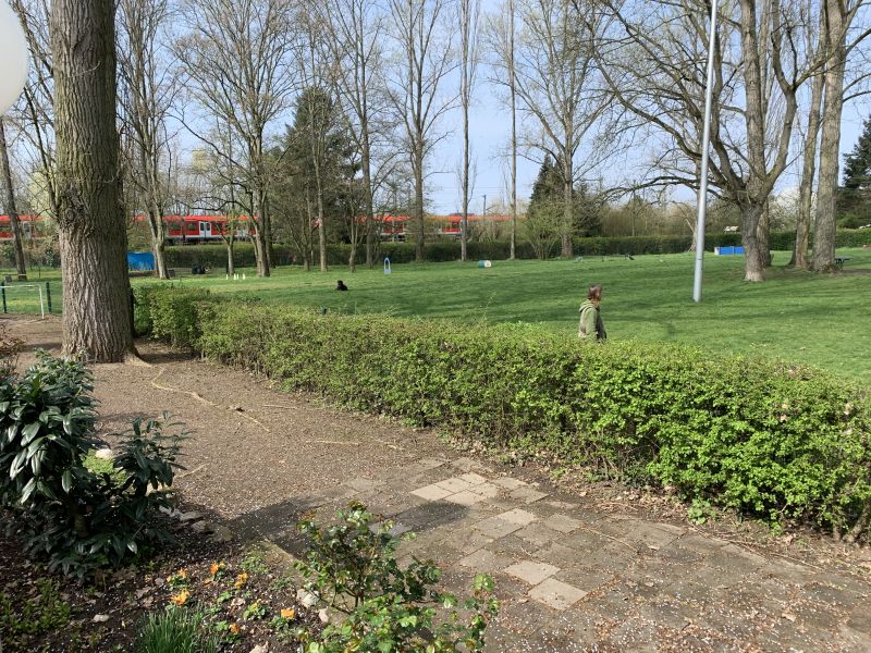 ssgh-hundeplatz-hundeschule-bockenheim-begleithundeprüfung-06.04.2019 (12)