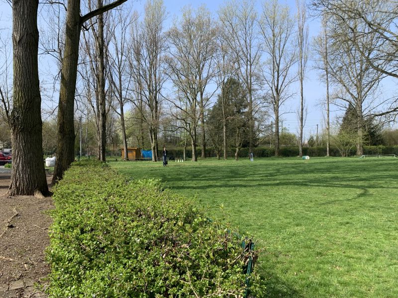 ssgh-hundeplatz-hundeschule-bockenheim-begleithundeprüfung-06.04.2019 (8)