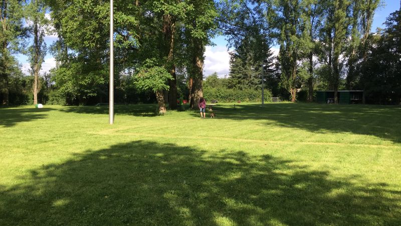 ssgh-hundeplatz-hundeschule-bockenheim-begleithundepruefung-26.06.2016 (4)