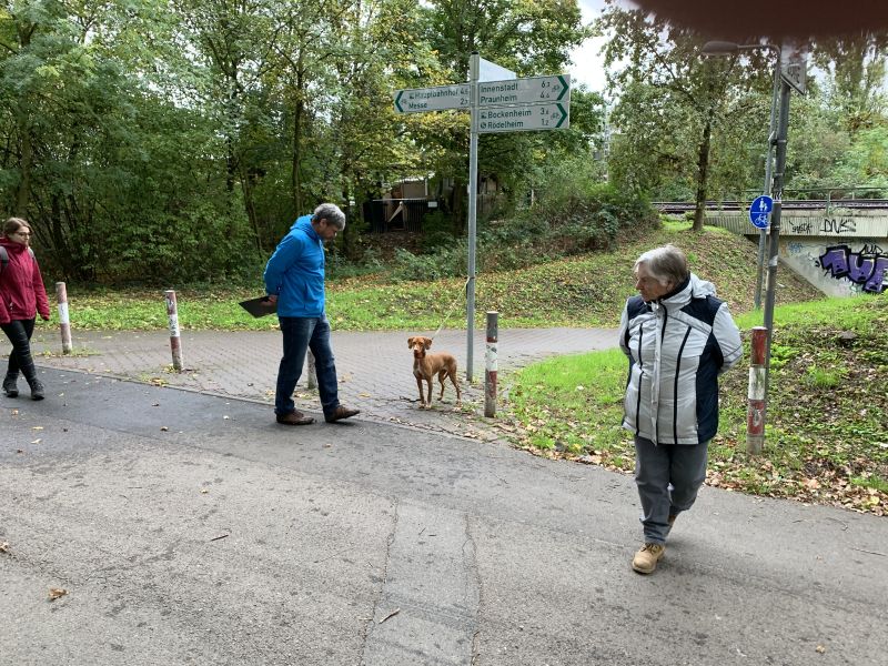 ssgh-hundeplatz-hundeschule-bockenheim-begleithundeprüfung-27.10.2019 (31)