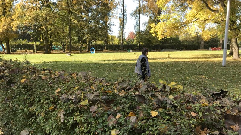ssgh-hundeplatz-hundeschule-bockenheim-herbstpruefung-30.10.2016 (12)