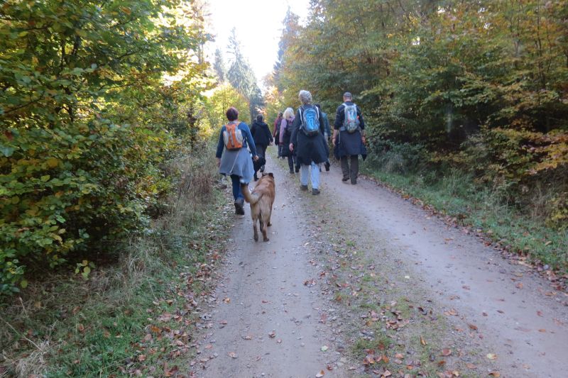 ssgh-hundeplatz-hundeschule-bockenheim-hundewanderung-30.10.2016-wiesbaden (25)